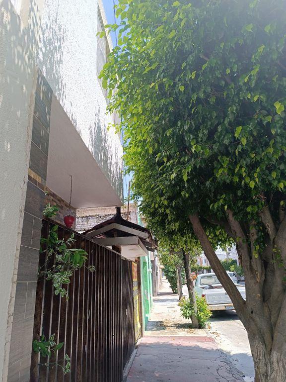 Foto de la galeria de imagenes